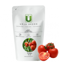 Tomato OP S-22 (Determinate) 100 grams